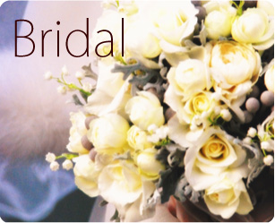 ���j���[�y�[�W��Dressing��